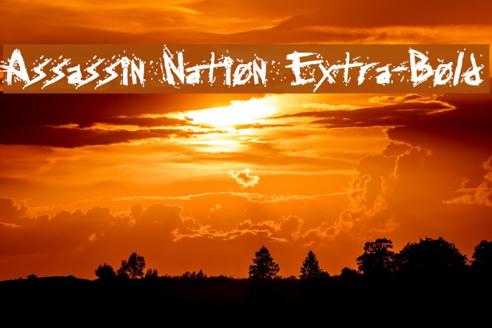 Assassin Nation Extra-Bold Example 1