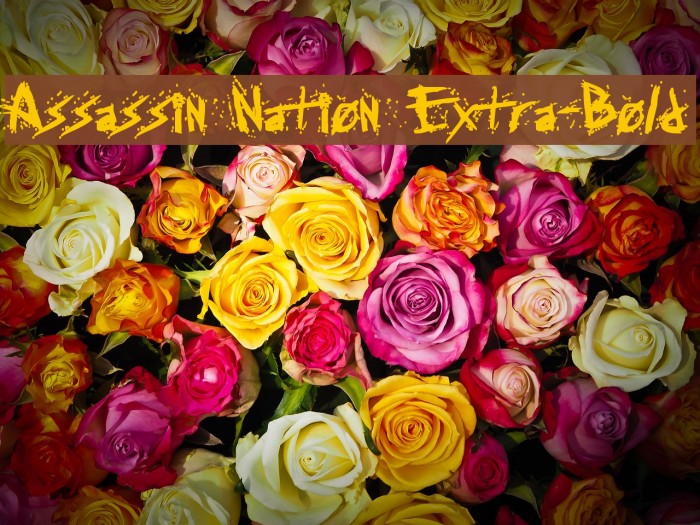 Assassin Nation Extra-Bold Example 2