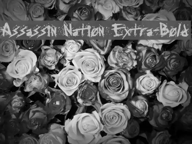Assassin Nation Extra-Bold Font examples
