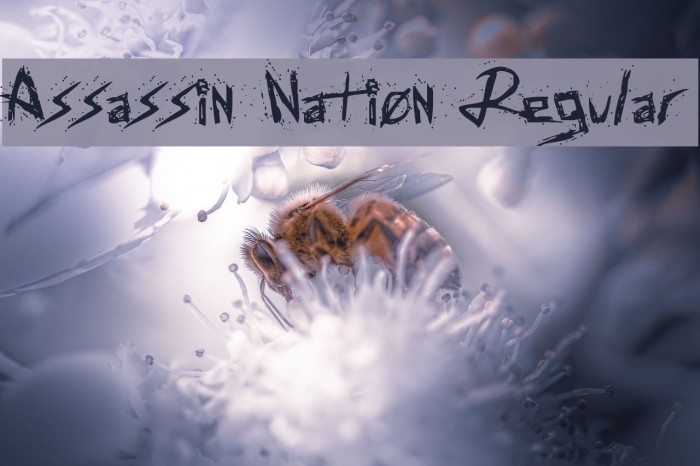 Assassin Nation Regular Example 1