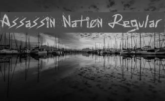 Assassin Nation Regular Font examples