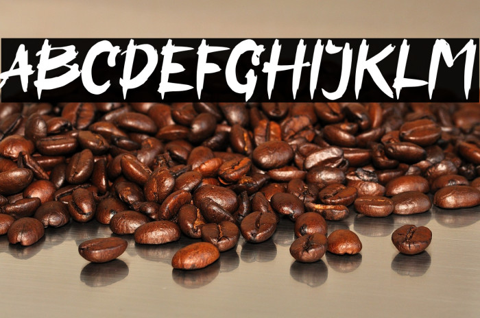 Assassin Ninja Example 1