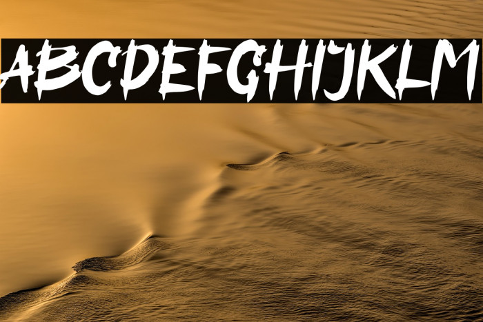 Assassin Ninja Example 2