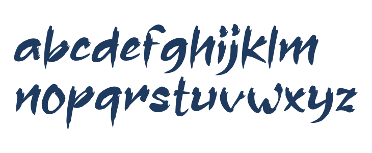 Assassin Ninja Lowercase