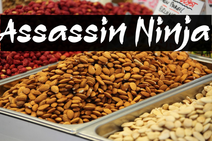 Assassin Ninja Example 1