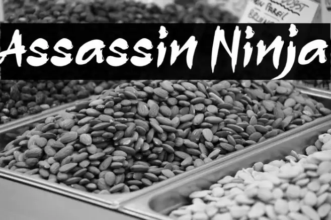 Assassin Ninja Font examples