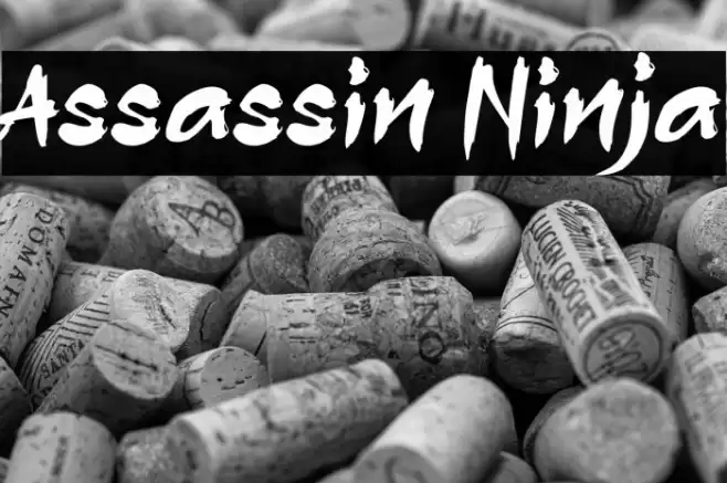 Assassin Ninja Font examples