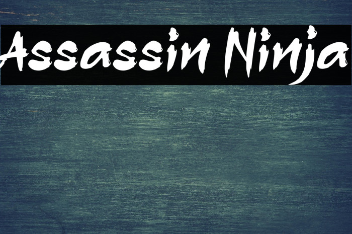 Assassin Ninja Example 3