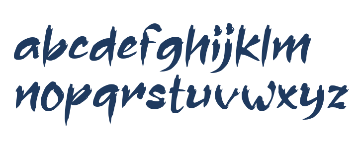 Assassin Ninja Lowercase