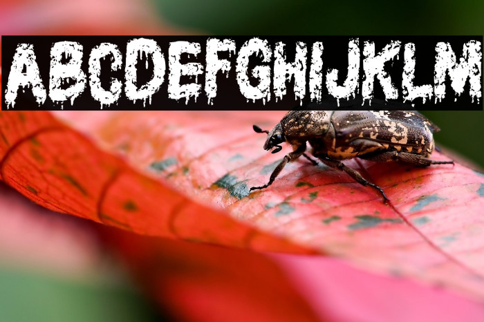 AssassinFREE Example 1