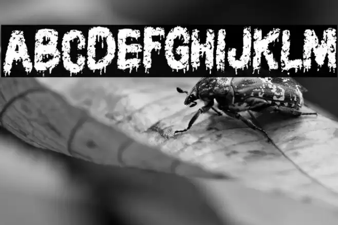 AssassinFREE Font examples