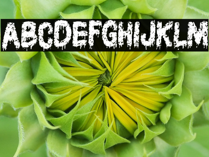 AssassinFREE Example 2