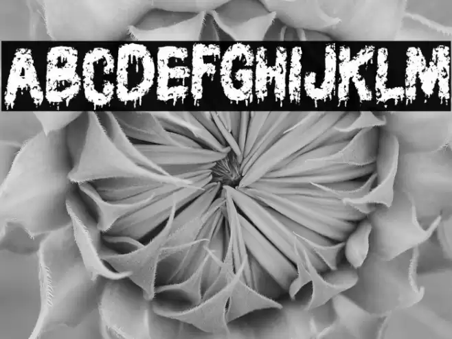 AssassinFREE Font examples