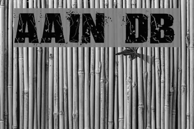 Assassins Dub Font examples