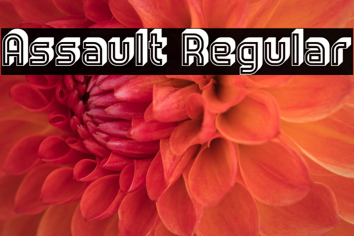 Assault Regular Example 2