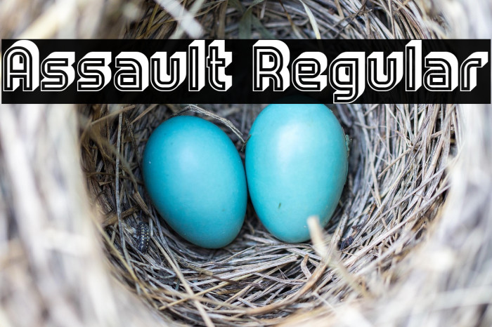 Assault Regular Example 3