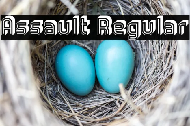Assault Regular Example 3
