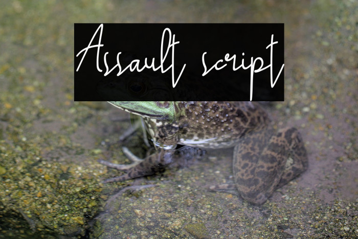 Assault script Example 2