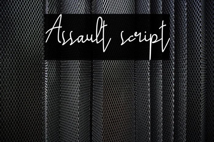 Assault script Example 3