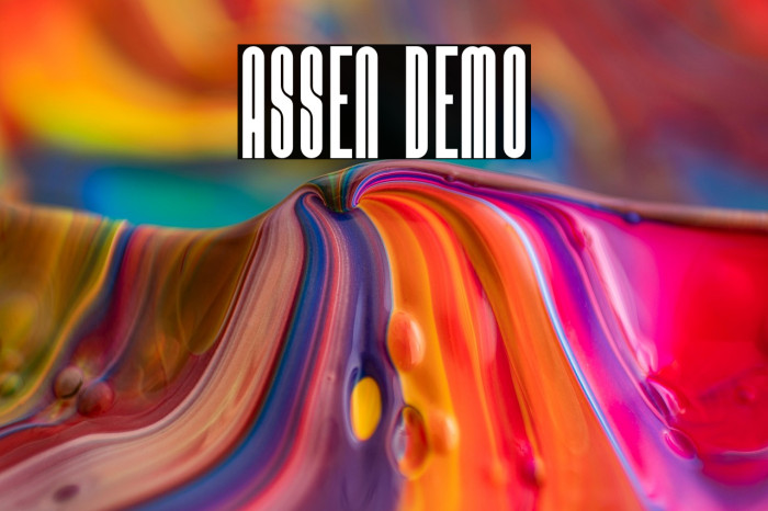 Assen Demo Example 1