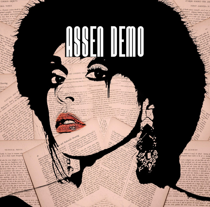 Assen Demo Example 2