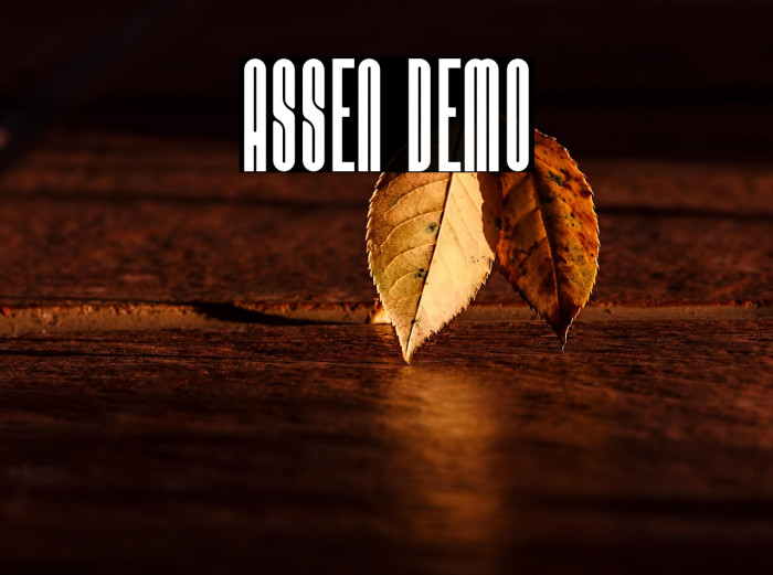 Assen Demo Example 3