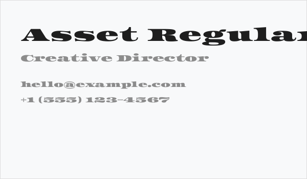 Asset Regular Business Card