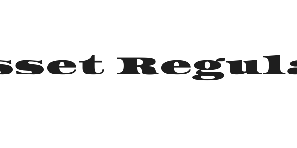 Asset Regular Logo