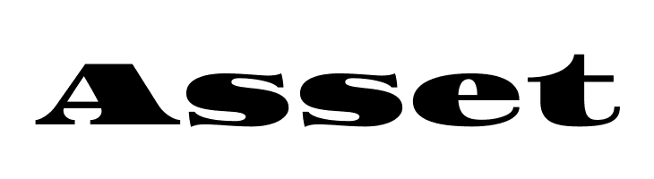 Asset Font
