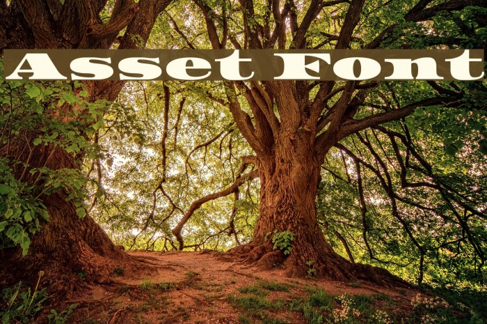 Asset Font examples