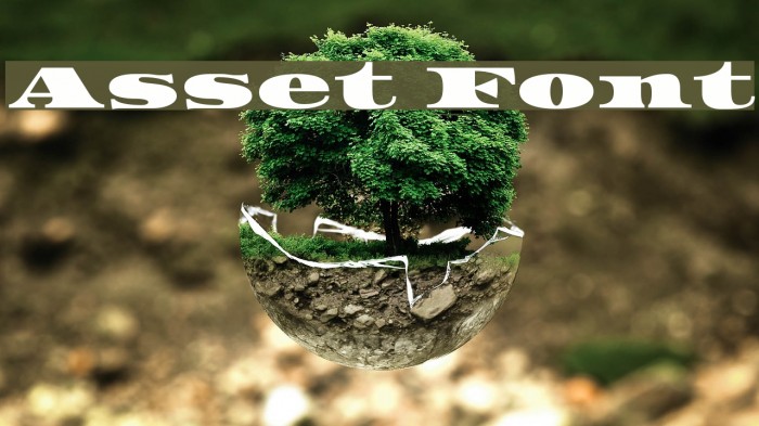 Asset Font examples