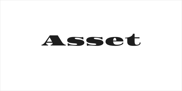 Asset Logo