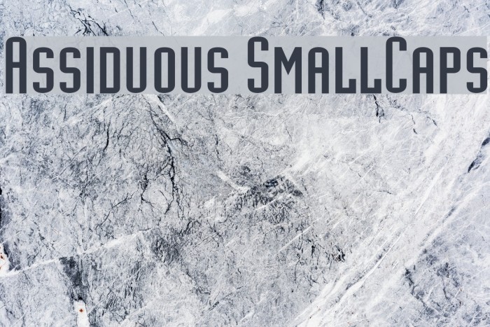 Assiduous SmallCaps Font examples