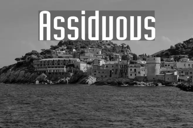 Assiduous Font examples
