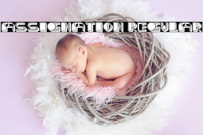 Assignation Regular Example 3