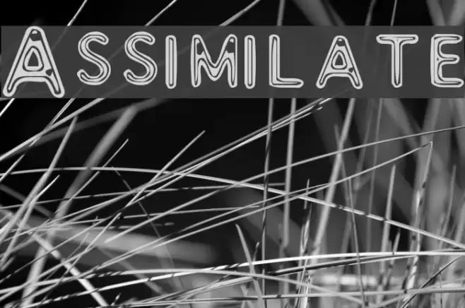 Assimilate フォント examples