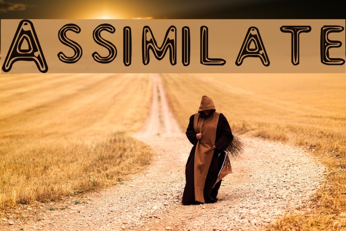 Assimilate Font examples