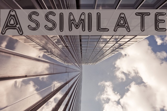Assimilate Font examples