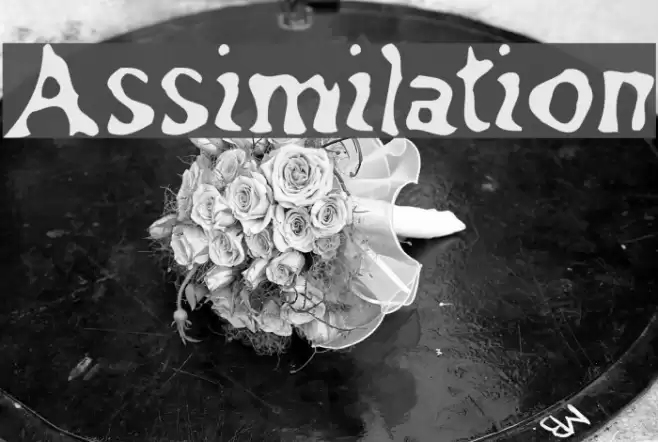 Assimilation Font examples