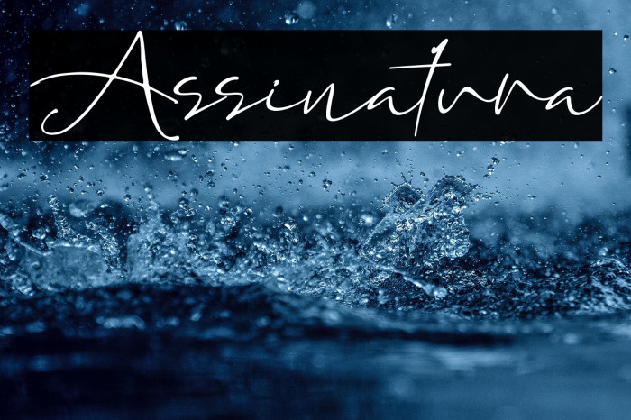 Assinatura Example 1