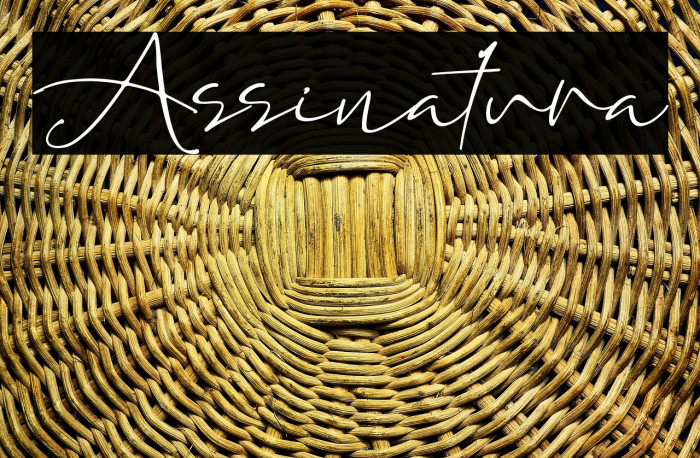 Assinatura Example 2