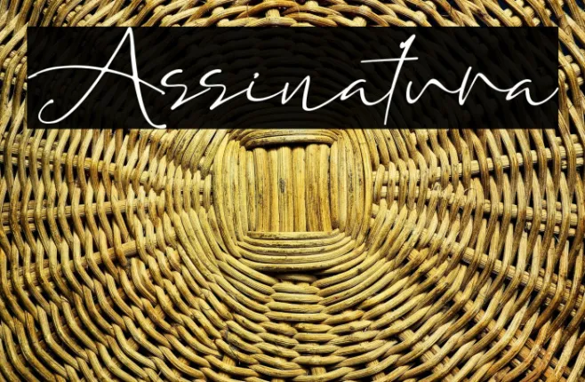 Assinatura Example 2