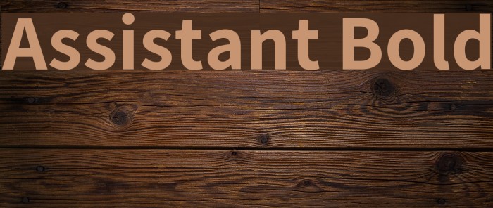 Assistant Bold Font examples
