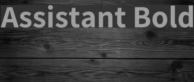 Assistant Bold Font examples