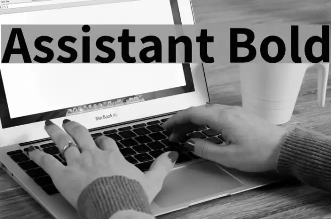 Assistant Bold Font examples