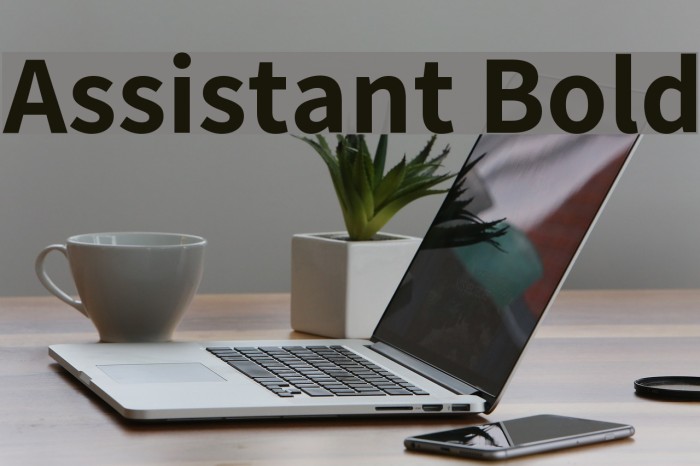 Assistant Bold Font examples