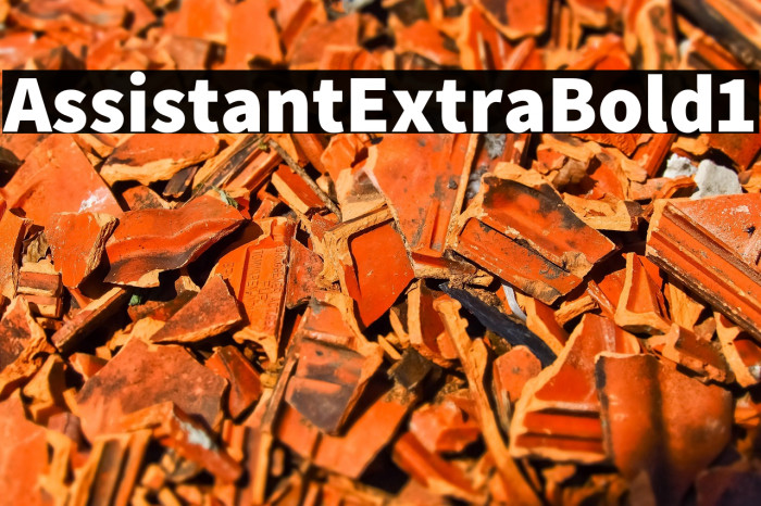 Assistant-ExtraBold1 Example 1