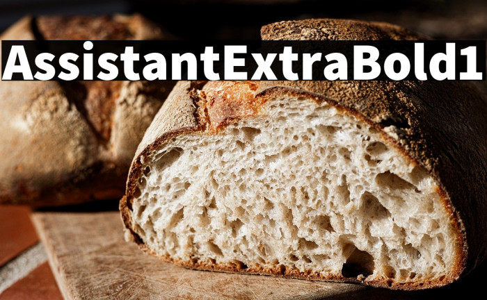 Assistant-ExtraBold1 Example 3