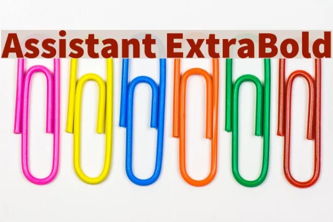 Assistant ExtraBold Example 2