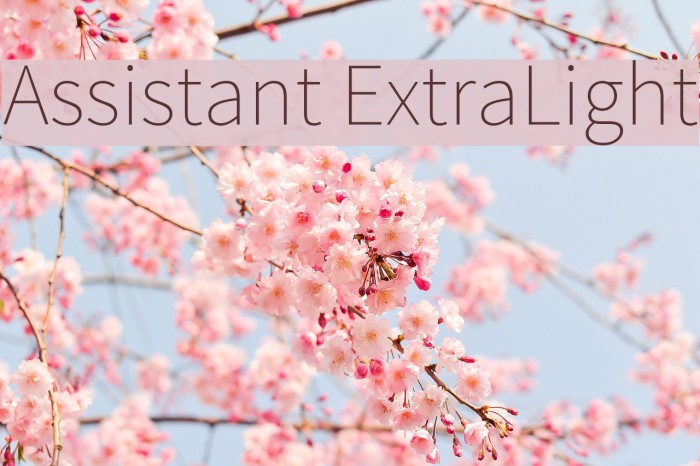 Assistant ExtraLight Font examples